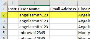 A portion of an Excel spreadsheet showing column I with the User Name header, and the value angelasmith123 in cell I2.